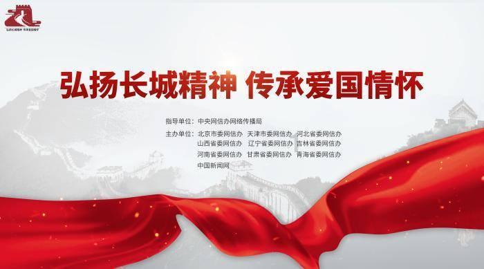 孤独的流浪者救援